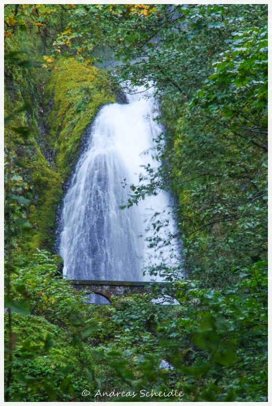 Multnohma Falls