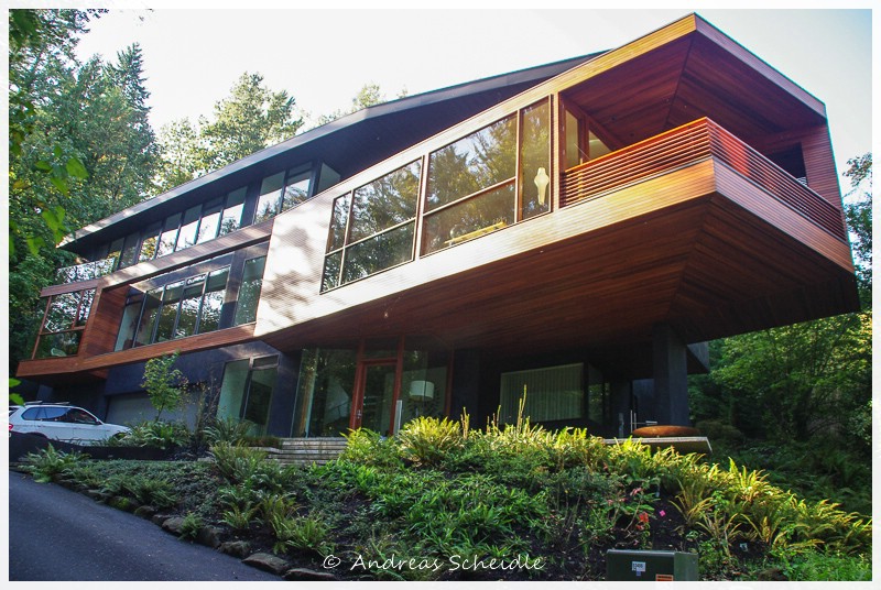 The Cullens House